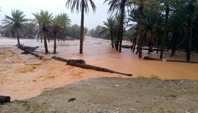 رئيس الوزراء يوجه بدعم أرخبيل سقطرى بـ100 مليون لمواجهة تبعات "بافان"