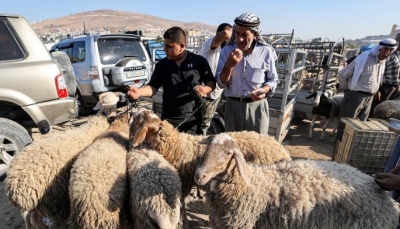 أضحى فلسطين... فرحة العيد تتحدى الاحتلال والغلاء